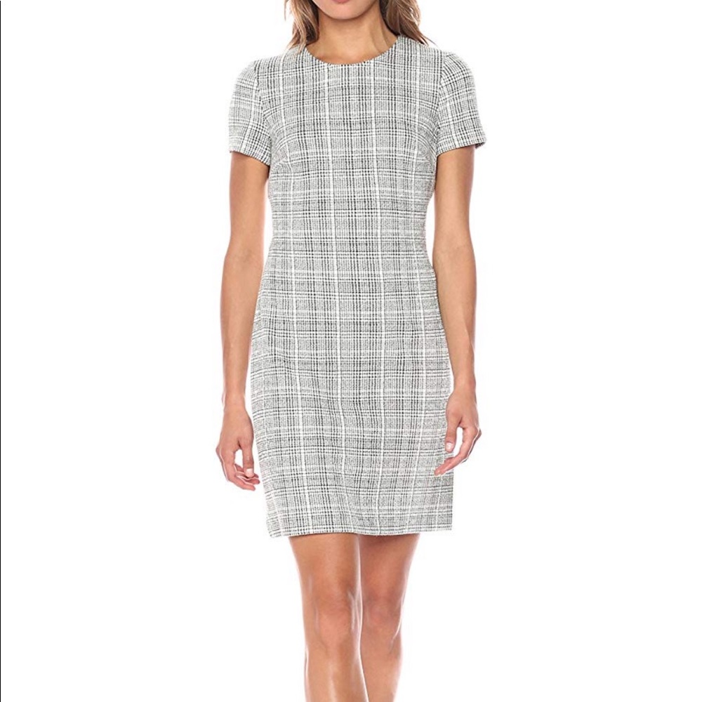 •Calvin Klein• Short Sleeve Shift Dress